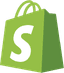 shopify ecommerce website dropshipping