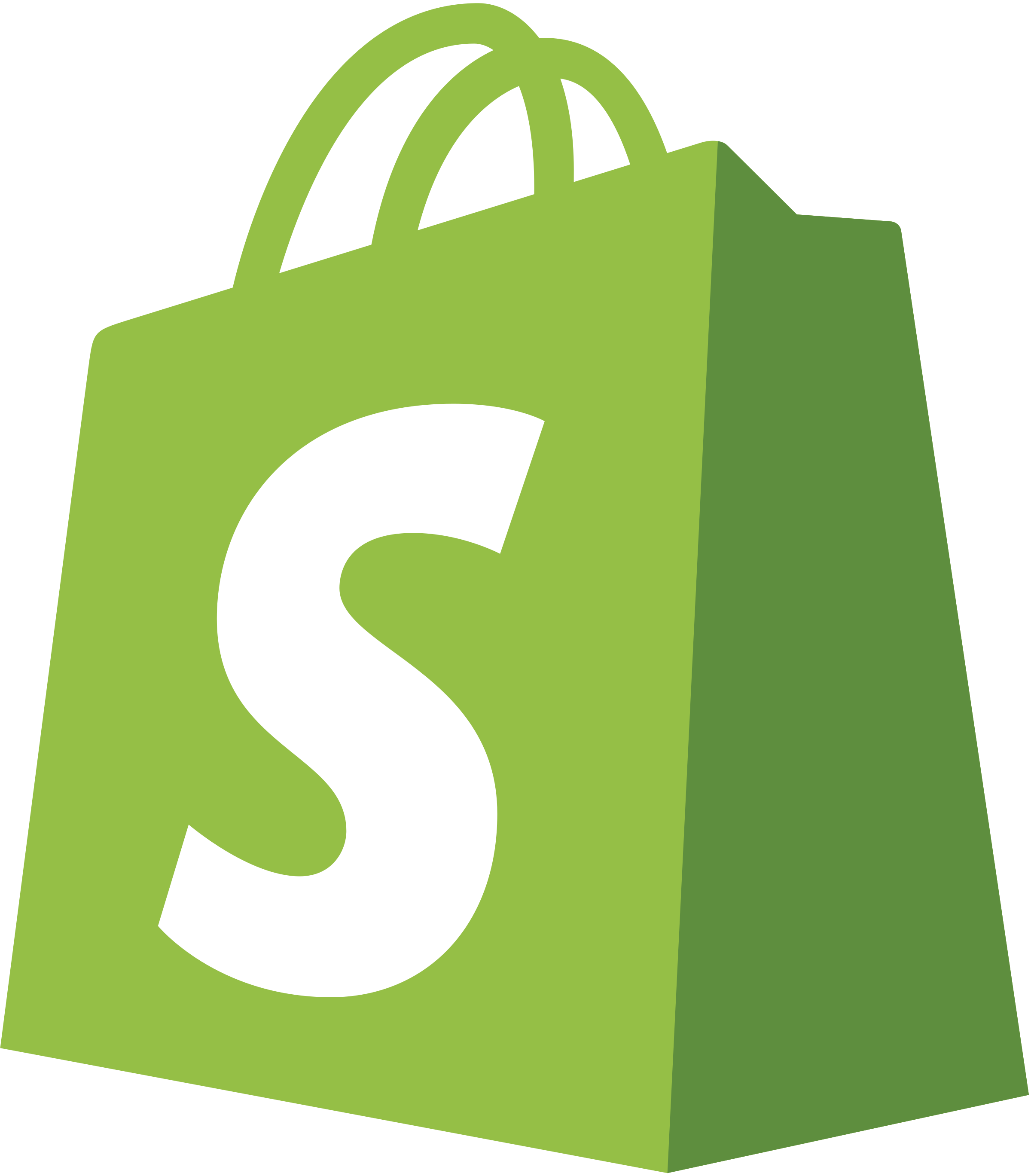 shopify ecommerce website dropshipping